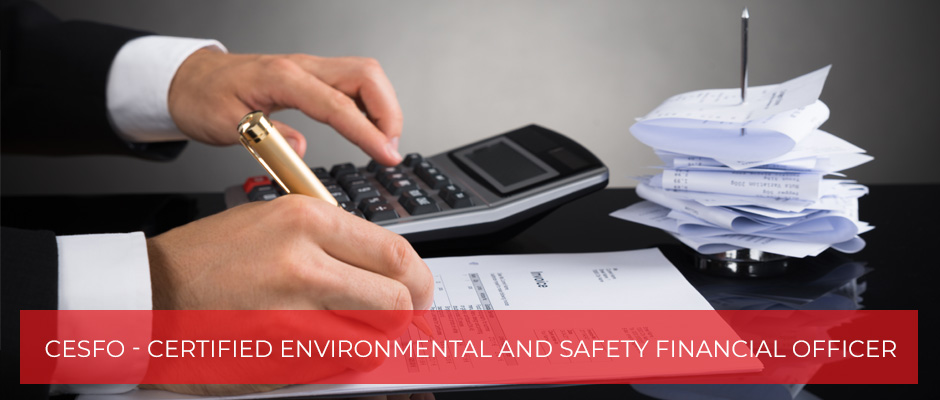 Certified Environmental and Safety Financial Officer certification