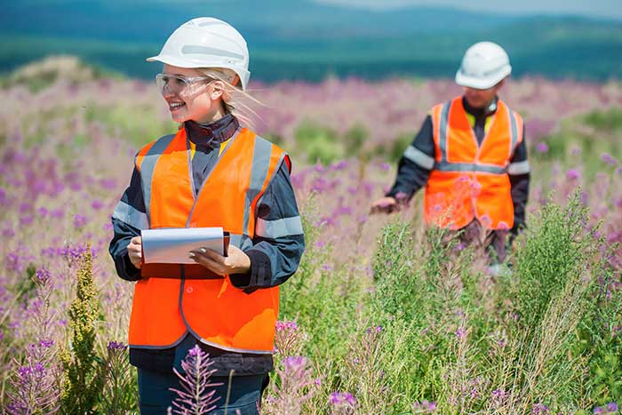 Environmental professionals researching in a recultivated field