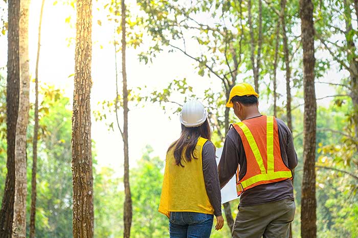 Environmental compliance officers in a forest