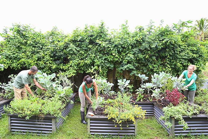 Environmental Conservation Top 6 Initiatives Around The World NREP Environmental Conservation Top 6 Initiatives Around The World NREP