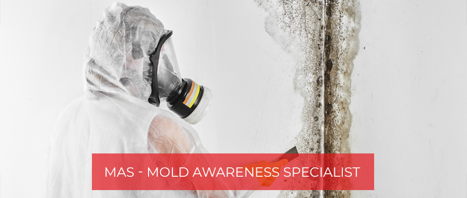 Mold Awareness Specialist certification