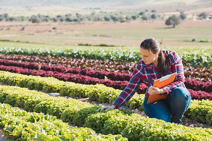 Agriculture & Natural Resources