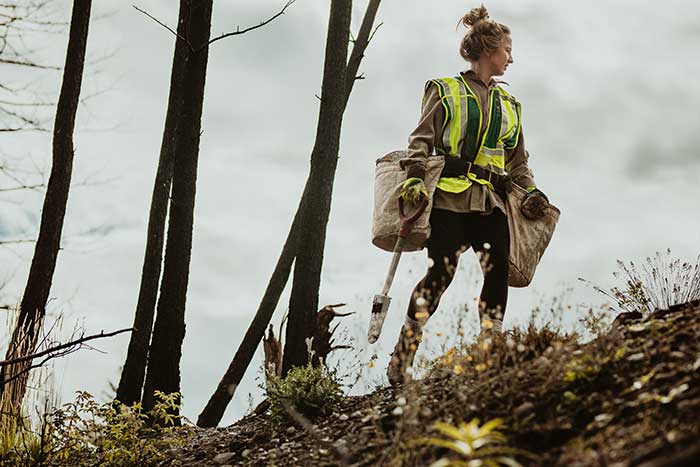 Female natural resources professional planting trees