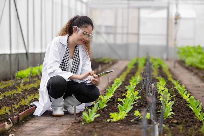 Female researcher inside a greenhouse
